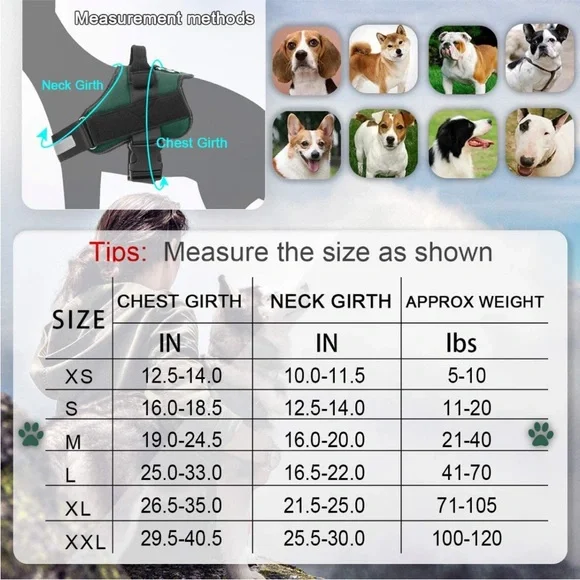 New Bolux Dog No-Pull Harness and Stretch Dog Leash, Medium - Picture 5 of 9